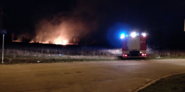 Blisko sto pożarów traw gasili wczoraj strażacy. Na Górkach Czechowskich spłonęły małe zwierzęta (zdjęcia)