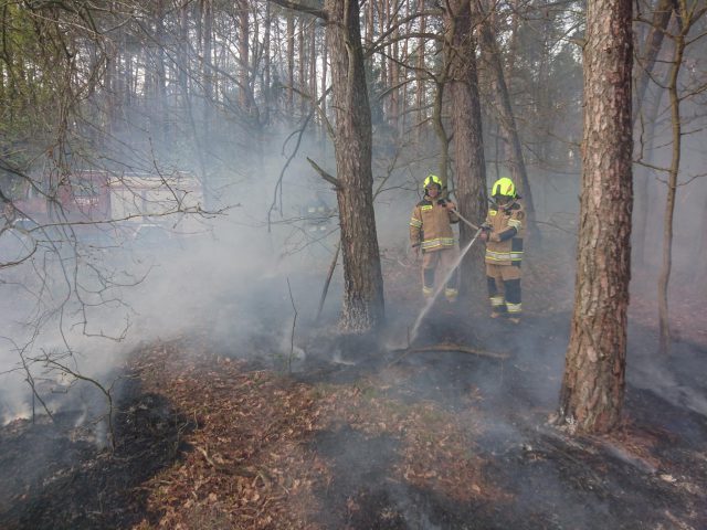 Strażacy walczyli z pożarami lasów. „Ogień sam się nie pojawił” (zdjęcia)