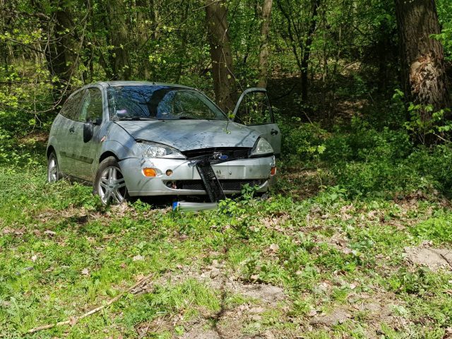 Ford wypadł z drogi, zatrzymał się w lesie (zdjęcia)