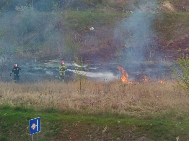 Strażacy gasili pożar traw przy ul. Północnej (zdjęcia)