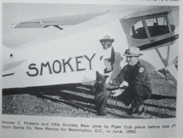 Lotniczy Dzień Dziecka w Radawcu. Będzie można polatać samolotem historycznym Piper Cub