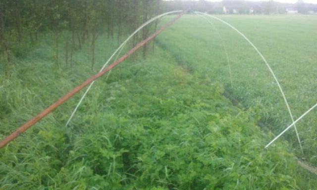 Kłusownicy wpadli na gorącym uczynku. Myśleli, że straż rybacka im odpuściła (zdjęcia)