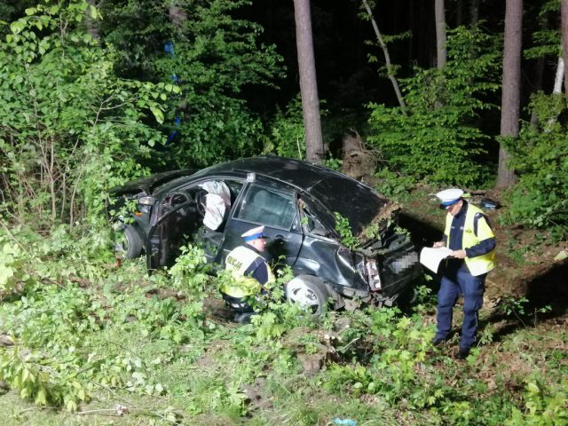 Seria tragicznych wypadków na drogach w kraju. W ciągu trzech dni zginęło 30 osób (zdjęcia)