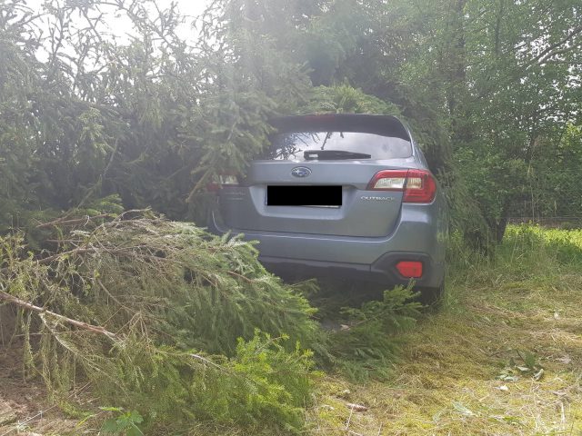 Zasłabł za kierownicą. Subaru wypadło z drogi, przebiło ogrodzenie i zatrzymało się na posesji (zdjęcia)