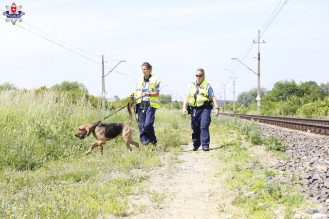 Specjalnie szkolone psy z Saksonii szukają zabójcy z Trawnik. Te same wykorzystywano w sprawie Ewy Tylman (zdjęcia)