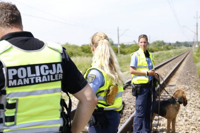 Specjalnie szkolone psy z Saksonii szukają zabójcy z Trawnik. Te same wykorzystywano w sprawie Ewy Tylman (zdjęcia)