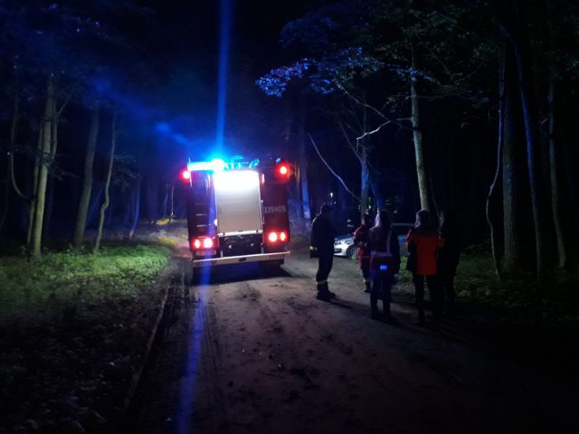 Noc i dzień przeczesywali las w poszukiwaniu 33-latka. Uciekł ratownikom medycznym z karetki (zdjęcia)