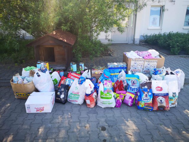 Studenci zebrali dla bezdomnych zwierząt ponad 300 kg darów (zdjęcia)
