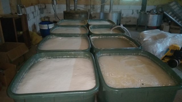 Fabryka bimbru pracowała „pełną parą”. Do przerobienia czekały 23 tony cukru (wideo, zdjęcia)