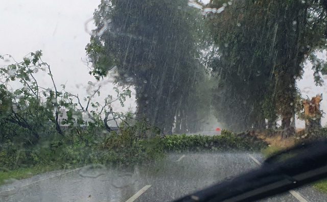 Oberwanie chmury i powalone drzewa. W regionie burza na razie nie wyrządziła większych szkód (zdjęcia)