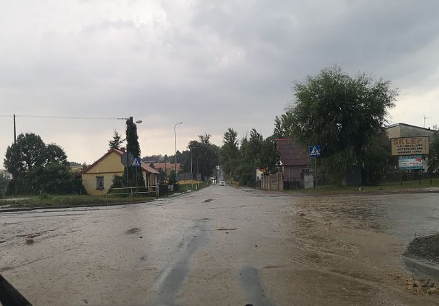 Oberwanie chmury i powalone drzewa. W regionie burza na razie nie wyrządziła większych szkód (zdjęcia)