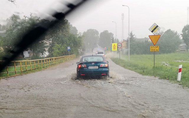 Oberwanie chmury i powalone drzewa. W regionie burza na razie nie wyrządziła większych szkód (zdjęcia)