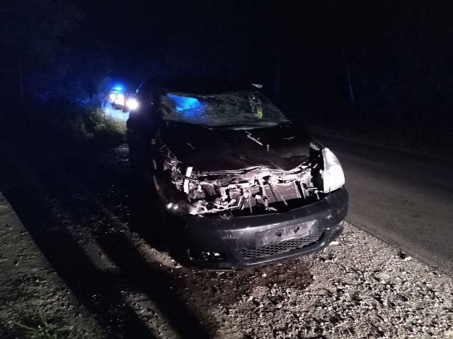 Łoś wybiegł na jezdnię. Auto rozbite, dwie osoby w szpitalu (zdjęcia)