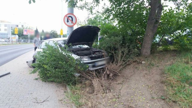 Wsiedli do auta z pijanym kierowcą. Mitsubishi uderzyło w drzewo i słup (zdjęcia)