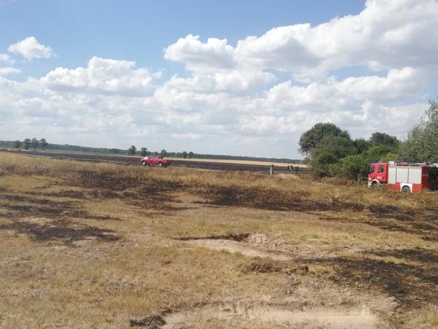 Spłonęło ponad 10 hektarów zboża na pniu i pół hektara lasu. Z ogniem walczyło kilkudziesięciu strażaków (zdjęcia)