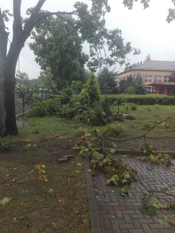 Nad regionem groźne burze. Zerwane dachy, połamane drzewa po nawałnicy w Gościeradowie (wideo, zdjęcia)