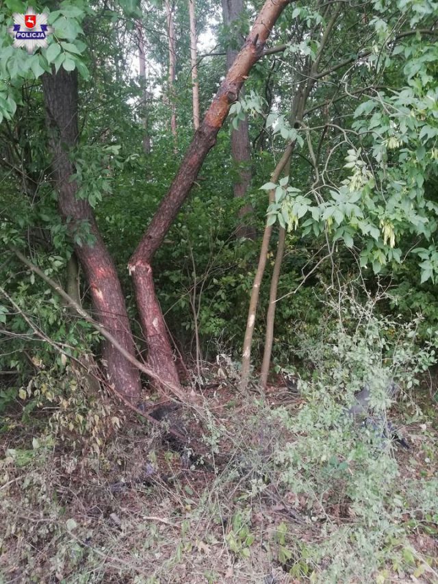 Audi uderzyło w drzewa, z pojazdu wypadł silnik (zdjęcia)