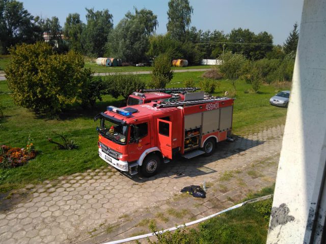 Pożar mieszkania w bloku. Właścicielka uciekła, pies nie zdążył (zdjęcia)