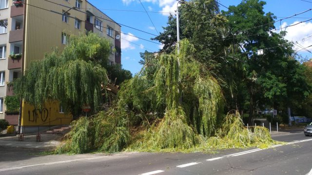 Drzewo przewróciło się przy ul. Nadbystrzyckiej. Są utrudnienia w ruchu (zdjęcia)