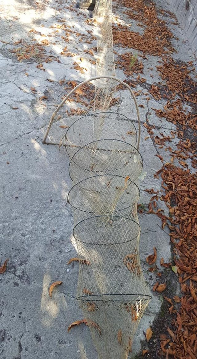 Wybrał się na ryby, zamiast wędki zabrał sieci. Kolejny kłusownik wpadł na gorącym uczynku (zdjęcia)