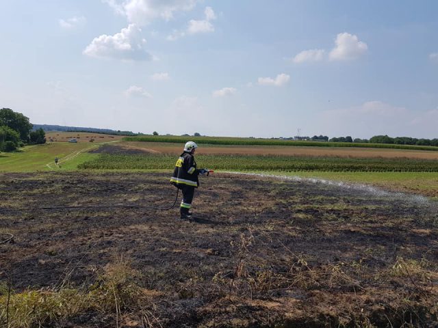 Nie ustają pożary w rolnictwie. Płoną ścierniska i maszyny rolnicze (zdjęcia)