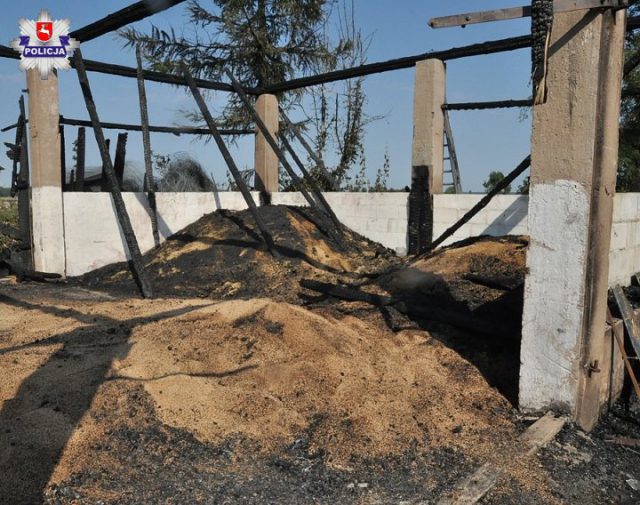 Ogromne straty po pożarze. Ogień strawił budynki, ciągnik rolniczy, zboże i trzy samochody (zdjęcia)