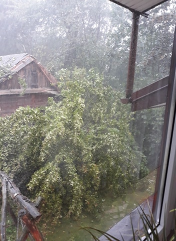 Burze dają się we znaki mieszkańcom regionu. Połamane drzewa i uszkodzone dachy pod Bychawą (zdjęcia)