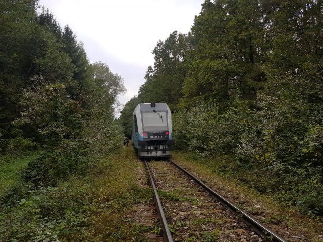 Szynobus zderzył się z dwoma łosiami. Zwierzęta padły, pociąg uszkodzony (zdjęcia)