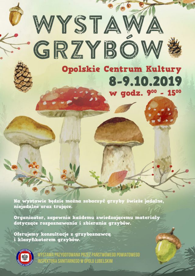 Wystawa grzybów w Opolu Lubelskim