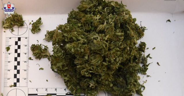 Marihuana w słoikach, policyjny dozór dla 34-latka (zdjęcia)