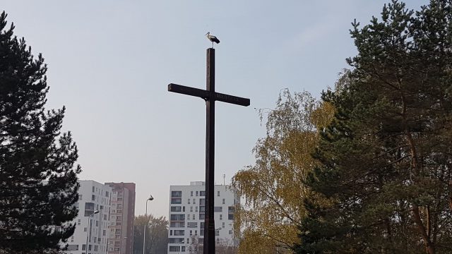 Nietypowy widok przy ul. Tumidajskiego. Bocian wylądował na krzyżu (zdjęcia)