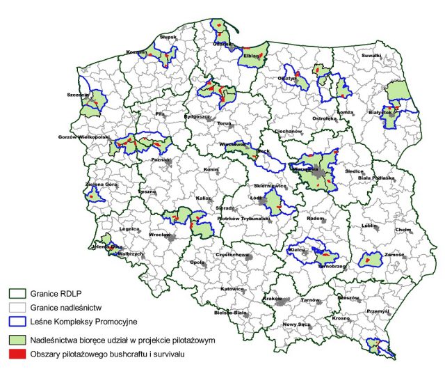 Bushcrafterzy nie muszą już obawiać się kar. W lasach wyznaczono im specjalne strefy