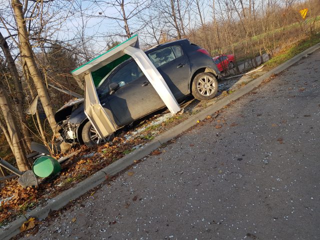 Opel uderzył w przystanek i drzewo. Poważny wypadek na trasie Lublin – Bychawa (wideo, zdjęcia)