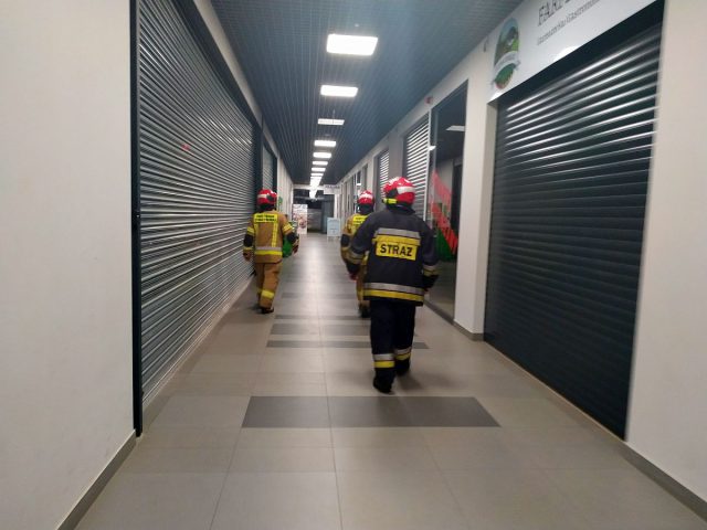 Służby ratunkowe zaalarmowane o pożarze Stokrotki na Felinie (zdjęcia)