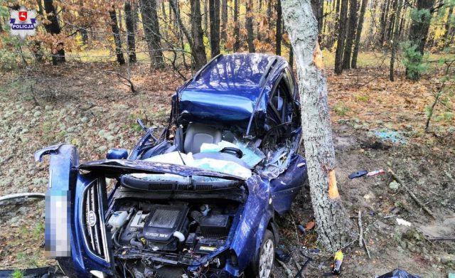 Kia uderzyła w drzewo, kierowca zginął na miejscu (zdjęcia)