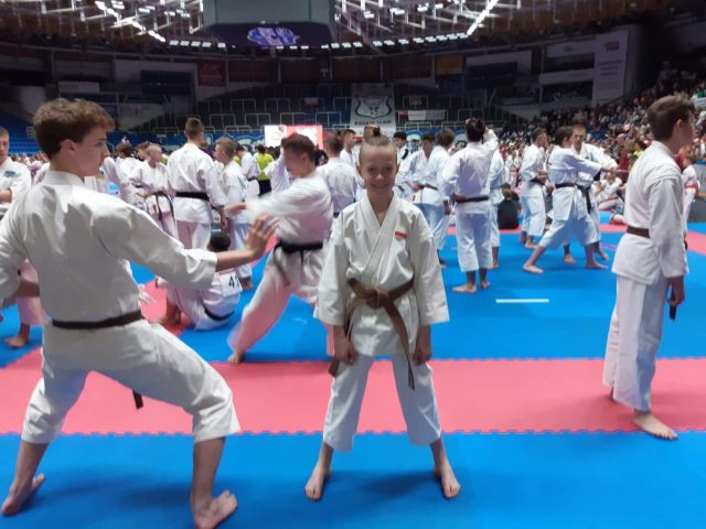 Sukces mieszkańców regionu w Mistrzostwach Świata Dzieci Kadetów i Juniorów w Karate Tradycyjnym (zdjęcia)