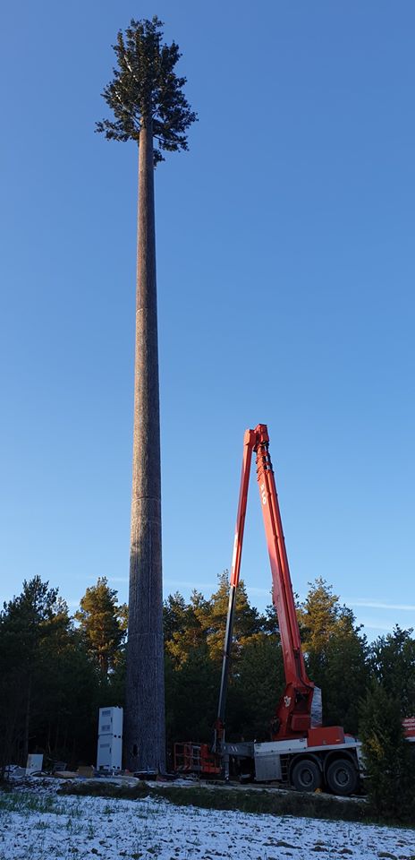 W naszym regionie postawili nadajnik udający drzewo. To pierwszy taki obiekt w Polsce (zdjęcia)