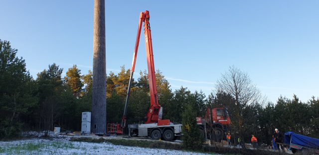 W naszym regionie postawili nadajnik udający drzewo. To pierwszy taki obiekt w Polsce (zdjęcia)