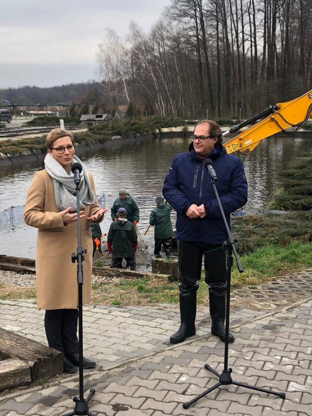 Minister łowił w Opolu Lubelskim karpie. „Chcemy promować tę najważniejszą dla Polaków rybę” (zdjęcia)