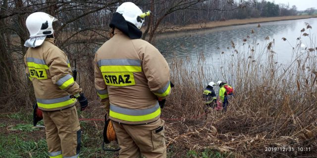 Strażacy uratowali łabędzia przymarzniętego do lodu (zdjęcia)