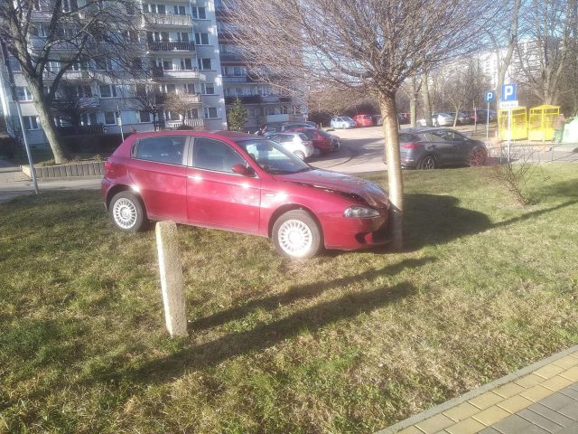 Auto bez kierowcy odjechało z parkingu. Zatrzymało się uderzając w drzewo (zdjęcia)