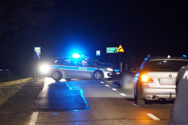 Tragiczny wypadek na drodze wojewódzkiej. Nie żyje pieszy potrącony przez BMW (zdjęcia)