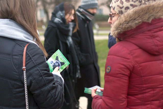 Walczą o wprowadzenie w Polsce zakazu hodowli zwierząt na futra. Przeprowadzili w Lublinie happening (zdjęcia)