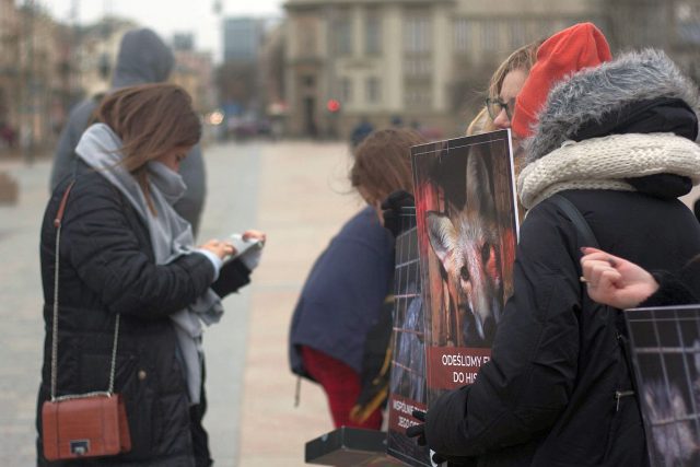 Walczą o wprowadzenie w Polsce zakazu hodowli zwierząt na futra. Przeprowadzili w Lublinie happening (zdjęcia)