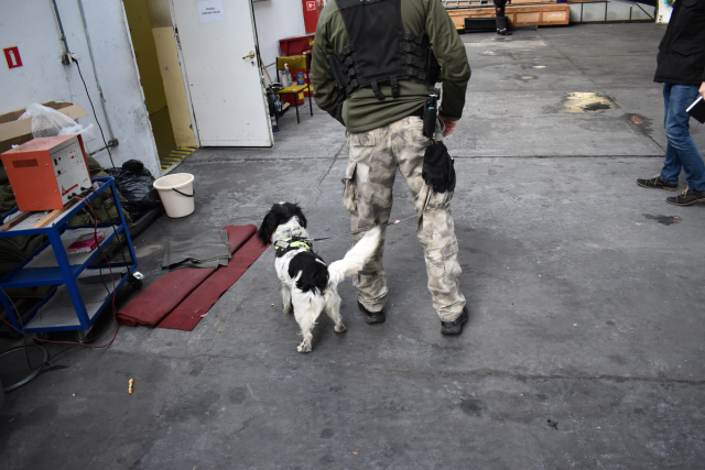 Pies szukał narkotyków w 41. Bazie Lotnictwa Szkolnego (zdjęcia)