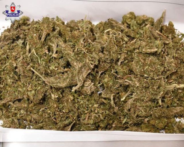 Na korytarzu poczuli zapach marihuany. W mieszkaniu 28-latka było ponad pół kilograma narkotyków (zdjęcia)