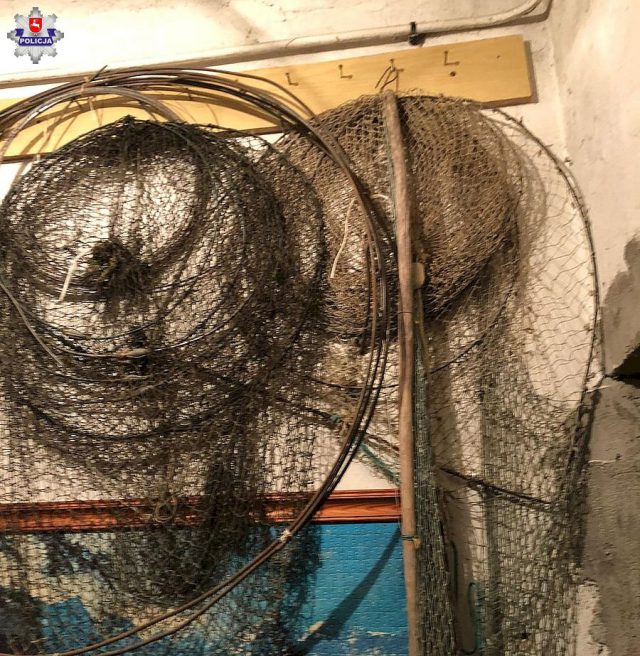 Kłusownicy odpowiedzą za nielegalny połów ryb na Wieprzu (zdjęcia)