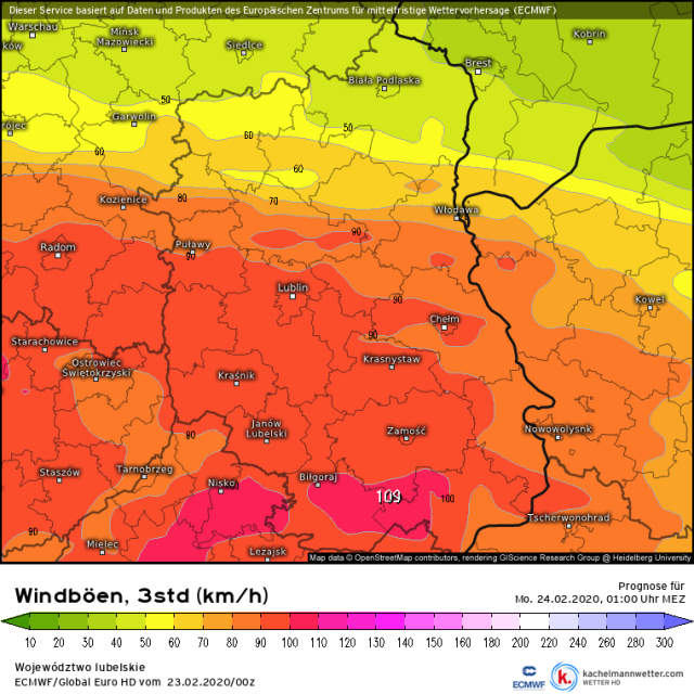 Niebezpieczna, miejscami niszcząca wichura przejdzie przez województwo lubelskie. Wiatr ponad 100 km/h i możliwe burze