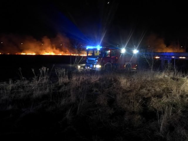 W niedzielę było blisko 140 pożarów traw i lasów w naszym regionie. W kilku przypadkach o mało nie spłonęły budynki