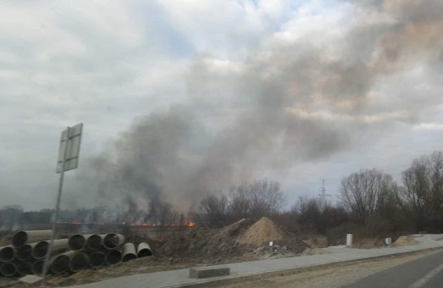 Duży pożar traw w rejonie ul. Turystycznej (zdjęcie)